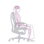 Ergonomic Chairs
