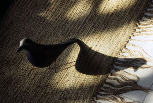 Eames house bird