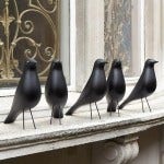 MURDER of house birds