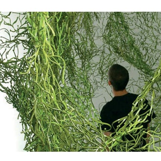 Ronan_and_Erwan_Bouroullec_Algue_vib