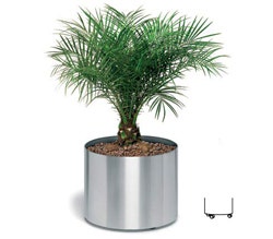 blomus_greens_planter_on_castors_65104