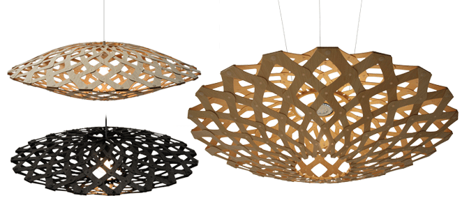 Flax, or harakeke, is a New Zealand indigenous plant and it has been grown for its valuable fiber.