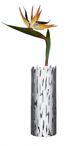 The Alessi Barkvase Flower Vase designed by Michael Boucquillon and Donia Maaoui inspiered by the trees that surround their house in Lucca. The flower vase is produced at the factory in Crusinallo, Omegna, using a cutting and laser perforating process on the steel sheet, which is subsequently shaped and welded. The design of "Barkvase", as its name suggests, is inspired by tree bark and its perforated pattern recalls knots in the wood grain.