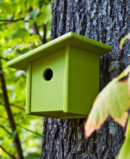 Just like our furniture, the Loll birdhouse will last a long time. A clean and modern approach to what should be simple avian living; our birdhouse was designed by humans with the birds in mind. No assembly required with easy mounting and easy access for cleaning out the old nest.