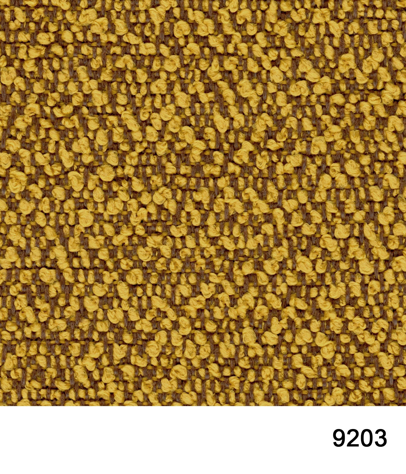 9203