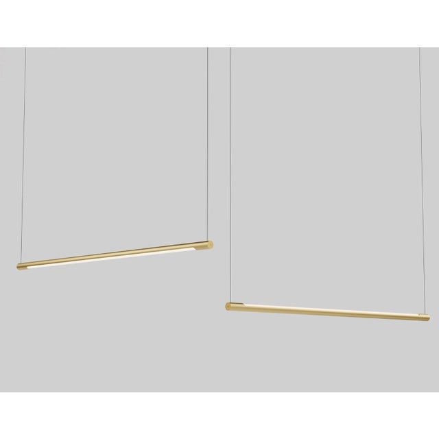 Anony Form Linear Suspension Lamp
