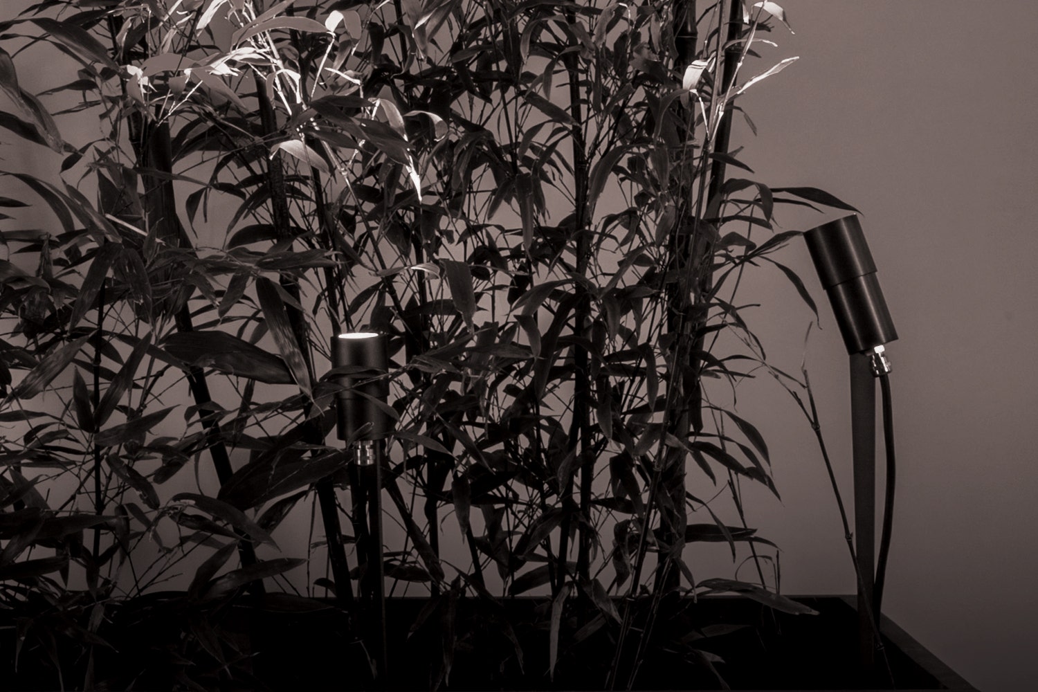 Antonangeli Regolo F1 Floor Lamp (Single Spotlight)