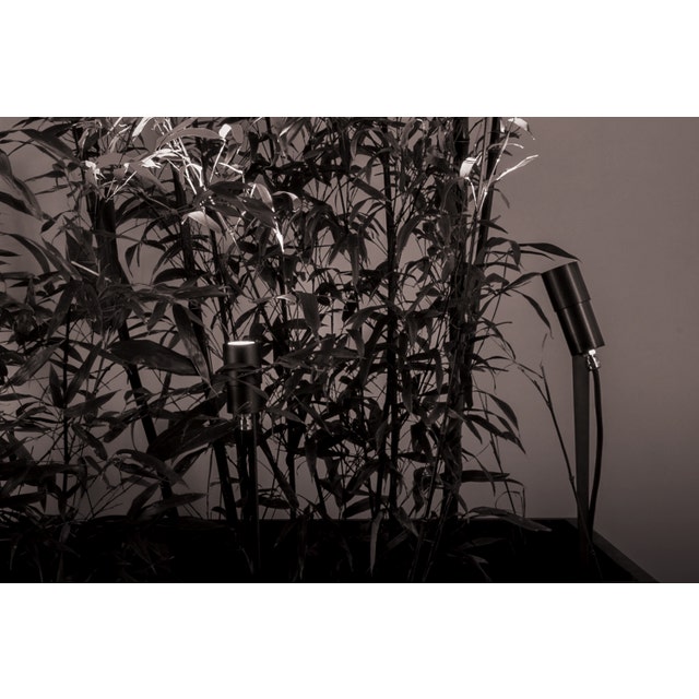 Antonangeli Regolo F1 Floor Lamp (Single Spotlight)