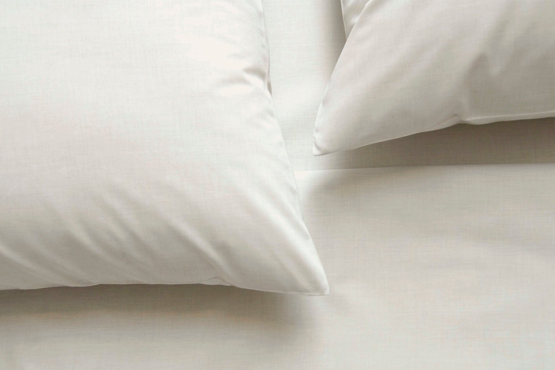 Area Taylor Pillow Cases