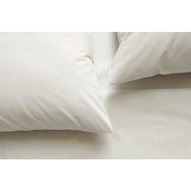 Area Taylor Pillow Cases