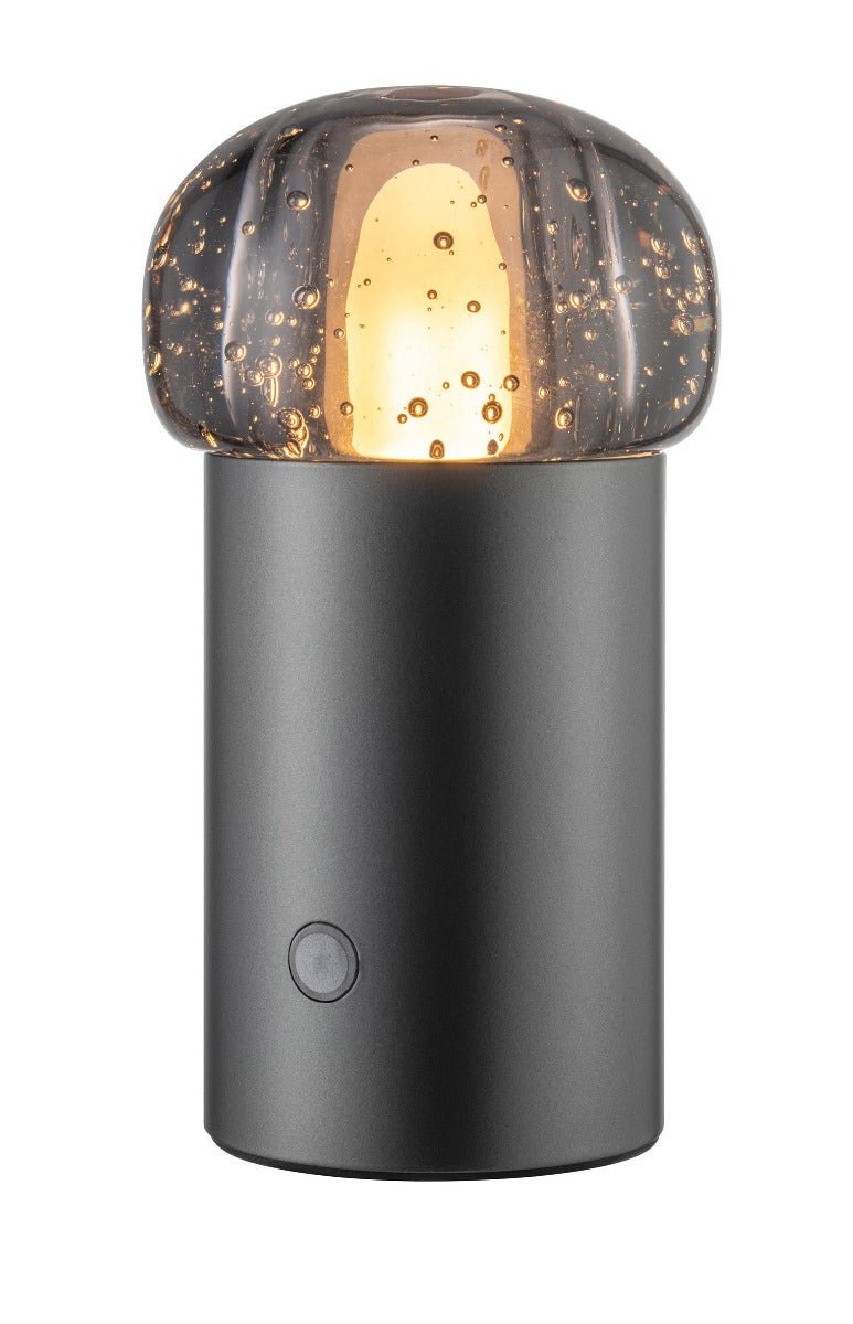 Blomus Iris Mobile Rechargeable LED Lamp