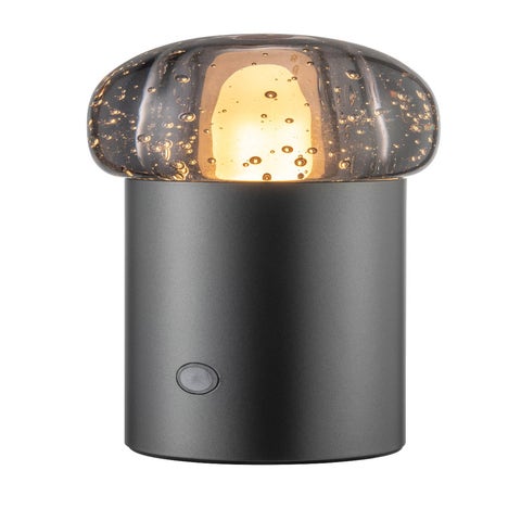 Blomus Iris Mobile Rechargeable LED Lamp