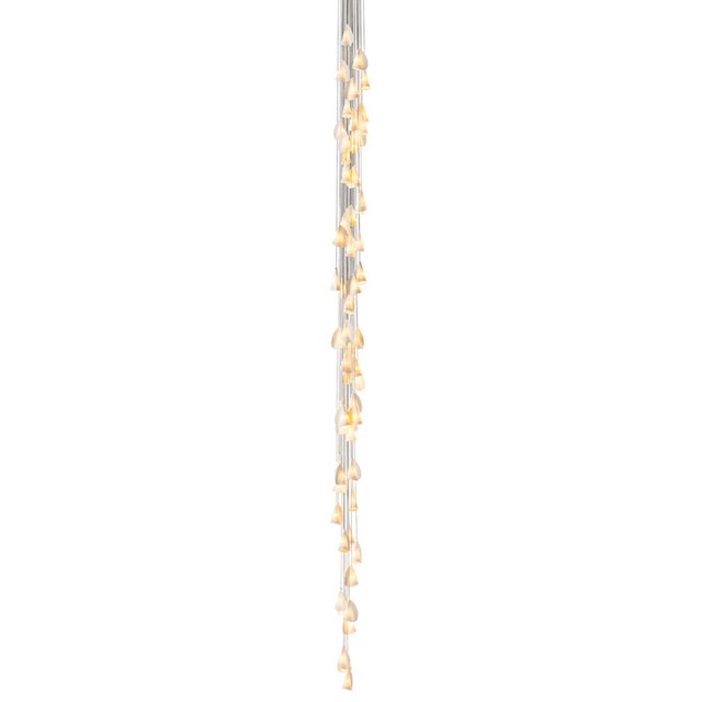 Bocci 21.61 Cluster Sixty One Pendant Light