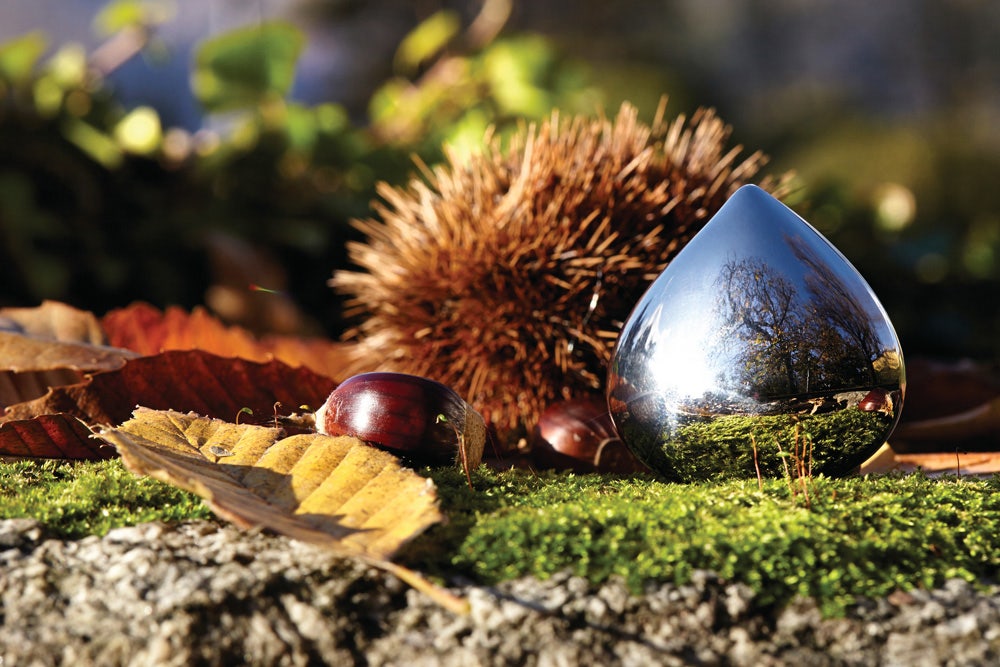 Alessi CHB01 Chestnut Pill Box