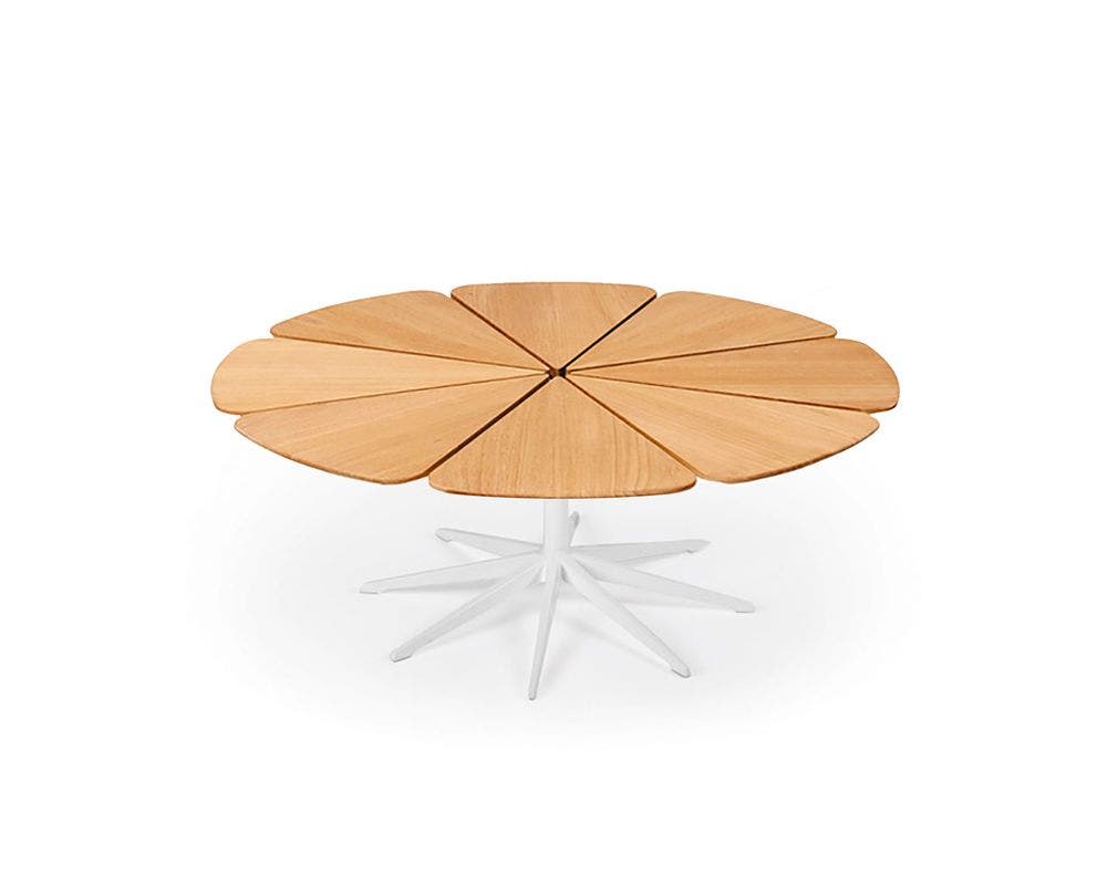 Knoll Richard Schultz Petal Coffee Table