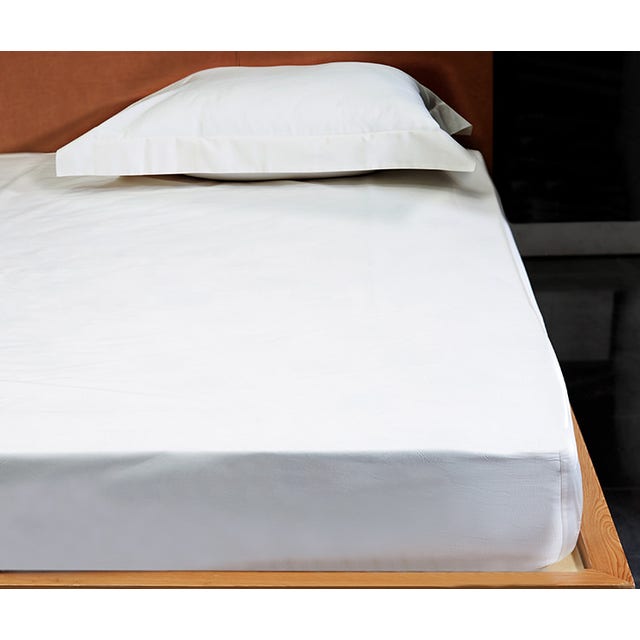 Signoria Luce 600 TC Fitted Sheet