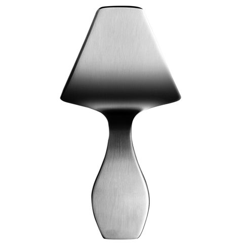 Iittala Collective Tools Cake Lifter