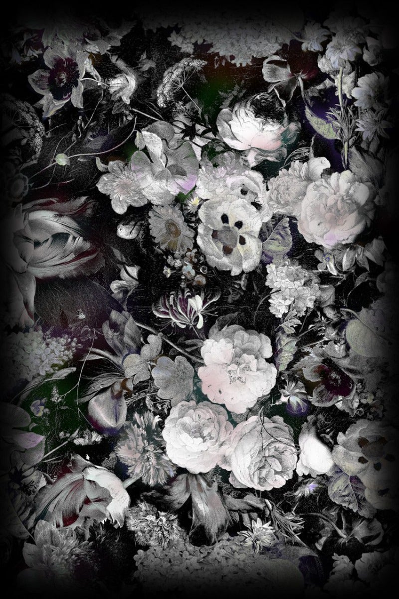 Moooi Eden Queen B&W Carpet