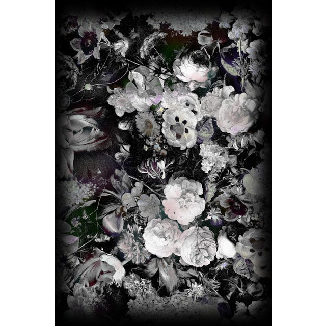 Moooi Eden Queen B&W Carpet