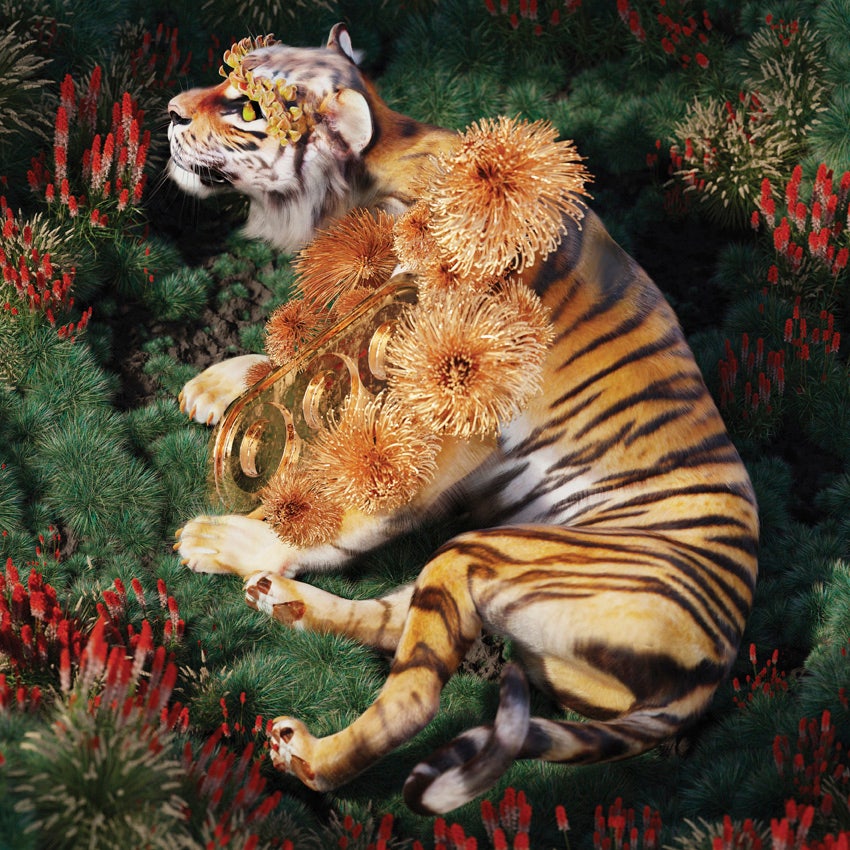 Moooi Extinct Animals Golden Tiger Carpet