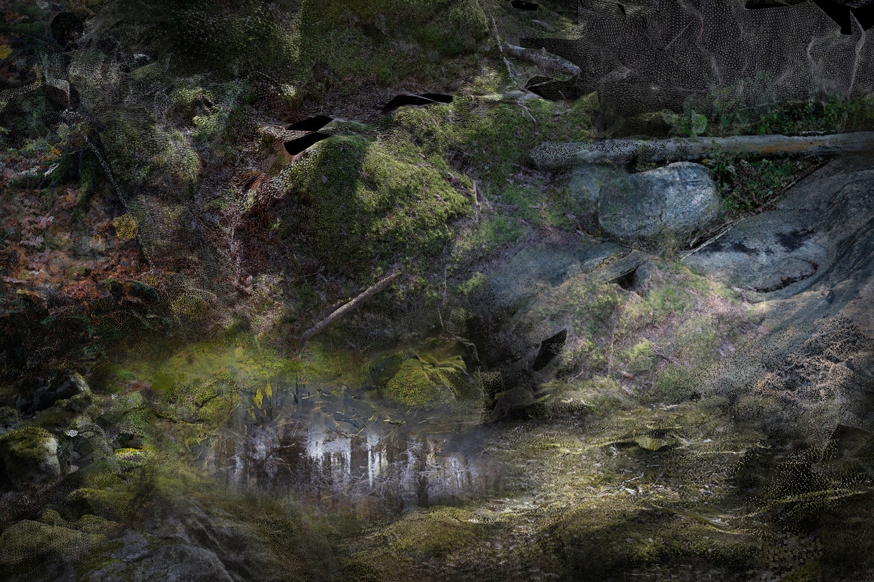 Moooi Forest Floors Landscape Carpet