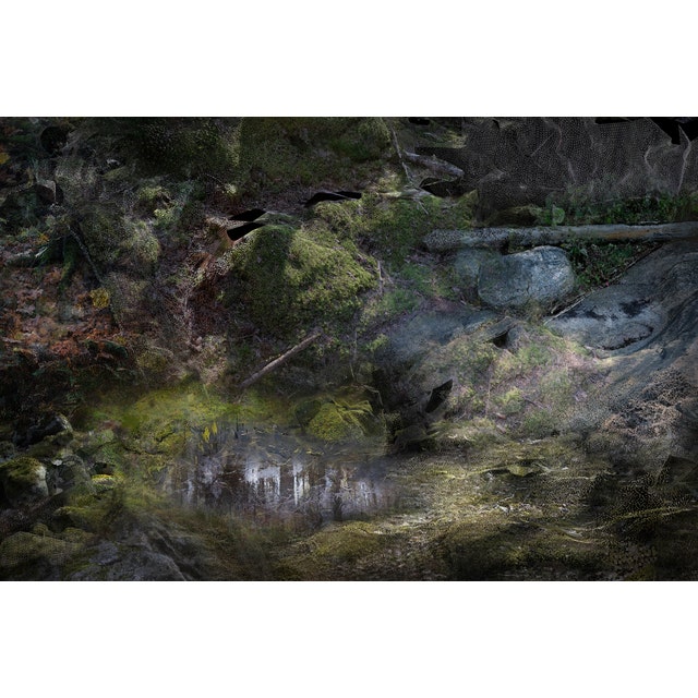 Moooi Forest Floors Landscape Carpet