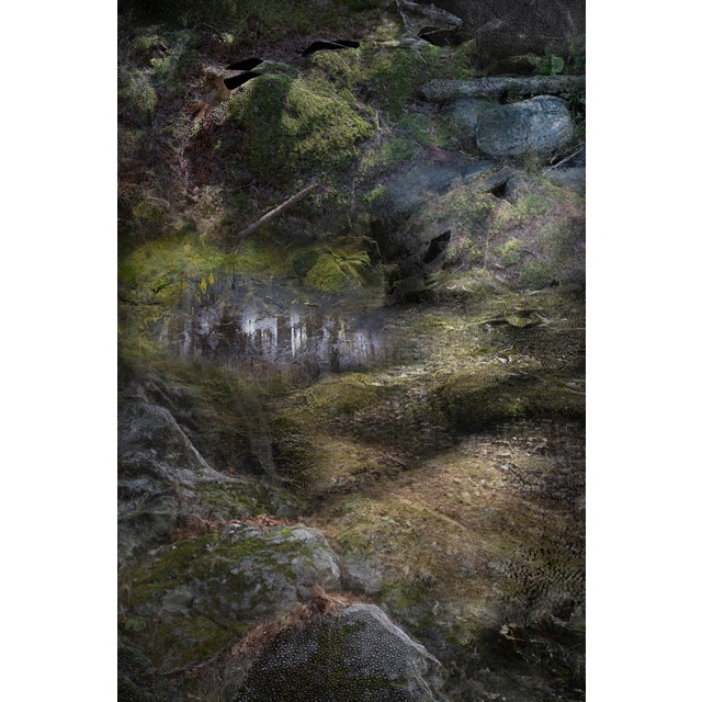 Moooi Forest Floors Portrait Carpet