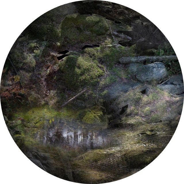 Moooi Forest Floors Round Carpet