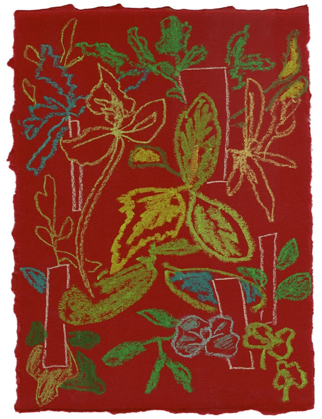 Moooi Handwriting Sprouts Carpet