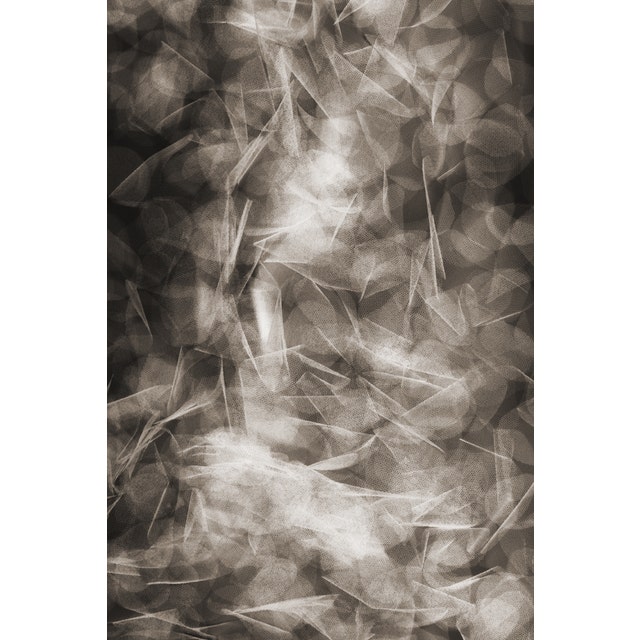 Moooi Pluck their Petals Falling Petals Carpet