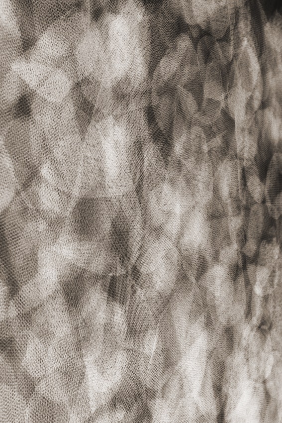 Moooi Pluck their Petals Flowing Petals Carpet