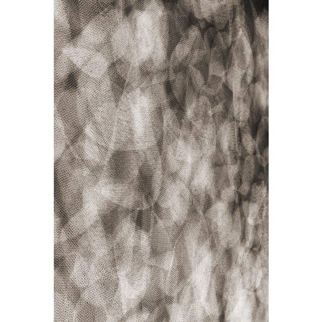 Moooi Pluck their Petals Flowing Petals Carpet