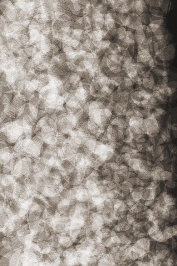 Moooi Pluck their Petals Lying Petals Carpet