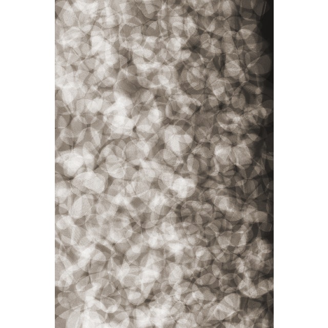 Moooi Pluck their Petals Lying Petals Carpet