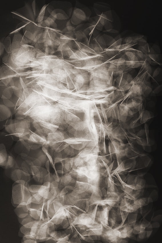 Moooi Pluck their Petals Tumbling Petals Carpet