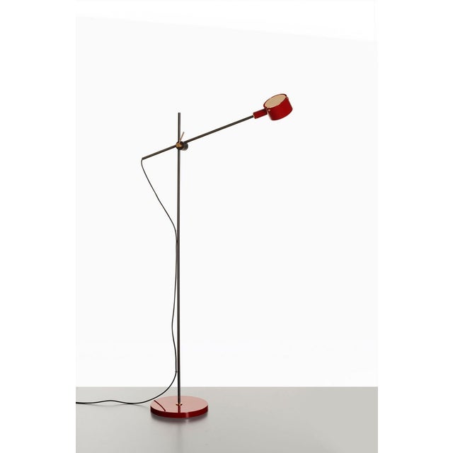 Oluce G.O. Floor Lamp