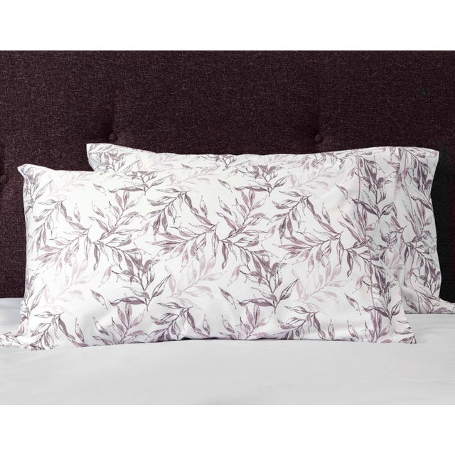Signoria Natura 300 TC Pillowcase (Set of 2)