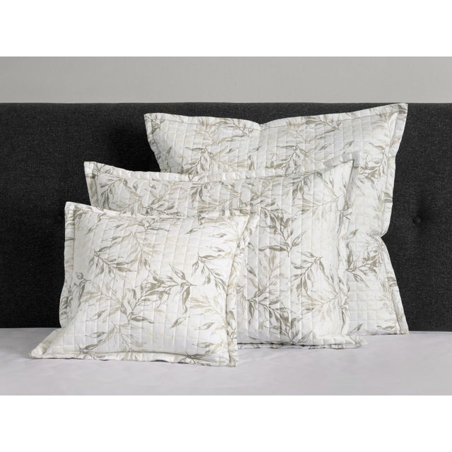 Signoria Natura 300 TC Single Quilted Sham