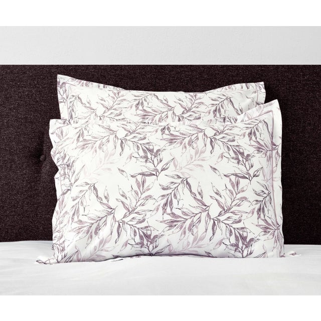 Signoria Natura 300 TC Single Sham