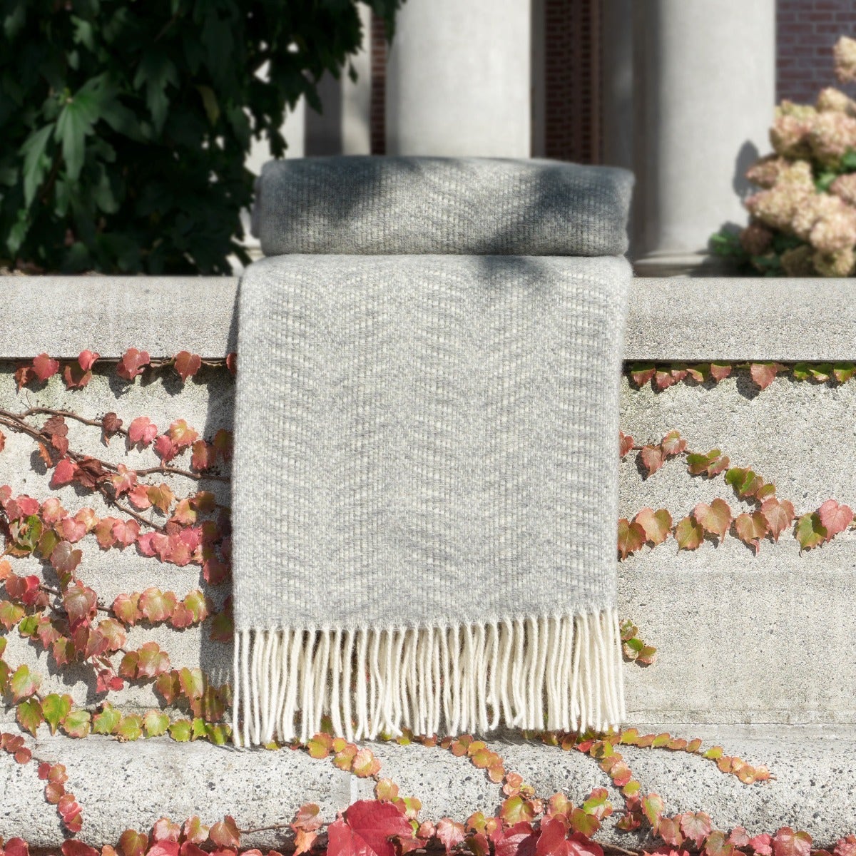 St. Geneve Zola Throw (disco)