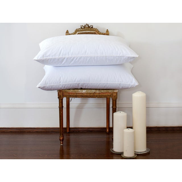 St. Geneve Eiderdown Pillow