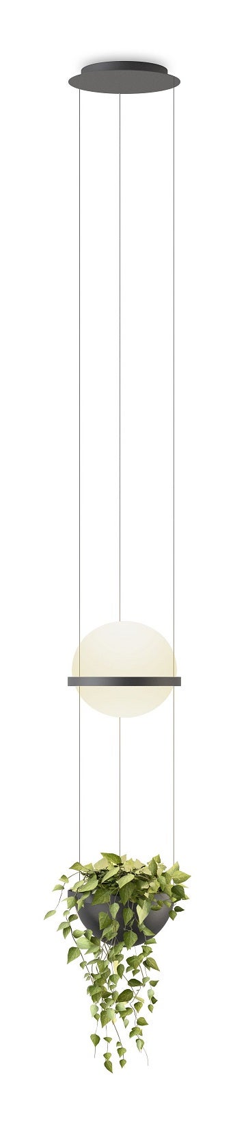 Vibia Palma 3724 Pendant Lamp with Planter
