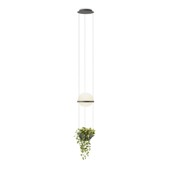 Vibia Palma 3724 Pendant Lamp with Planter