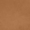 Dunes 21004