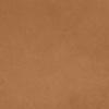 Dunes 21004