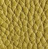 Yellow 021