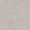 Rye Grass 1HS06