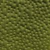 Olive 5H113