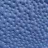 Bluebell 5H119