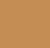Camel 4171
